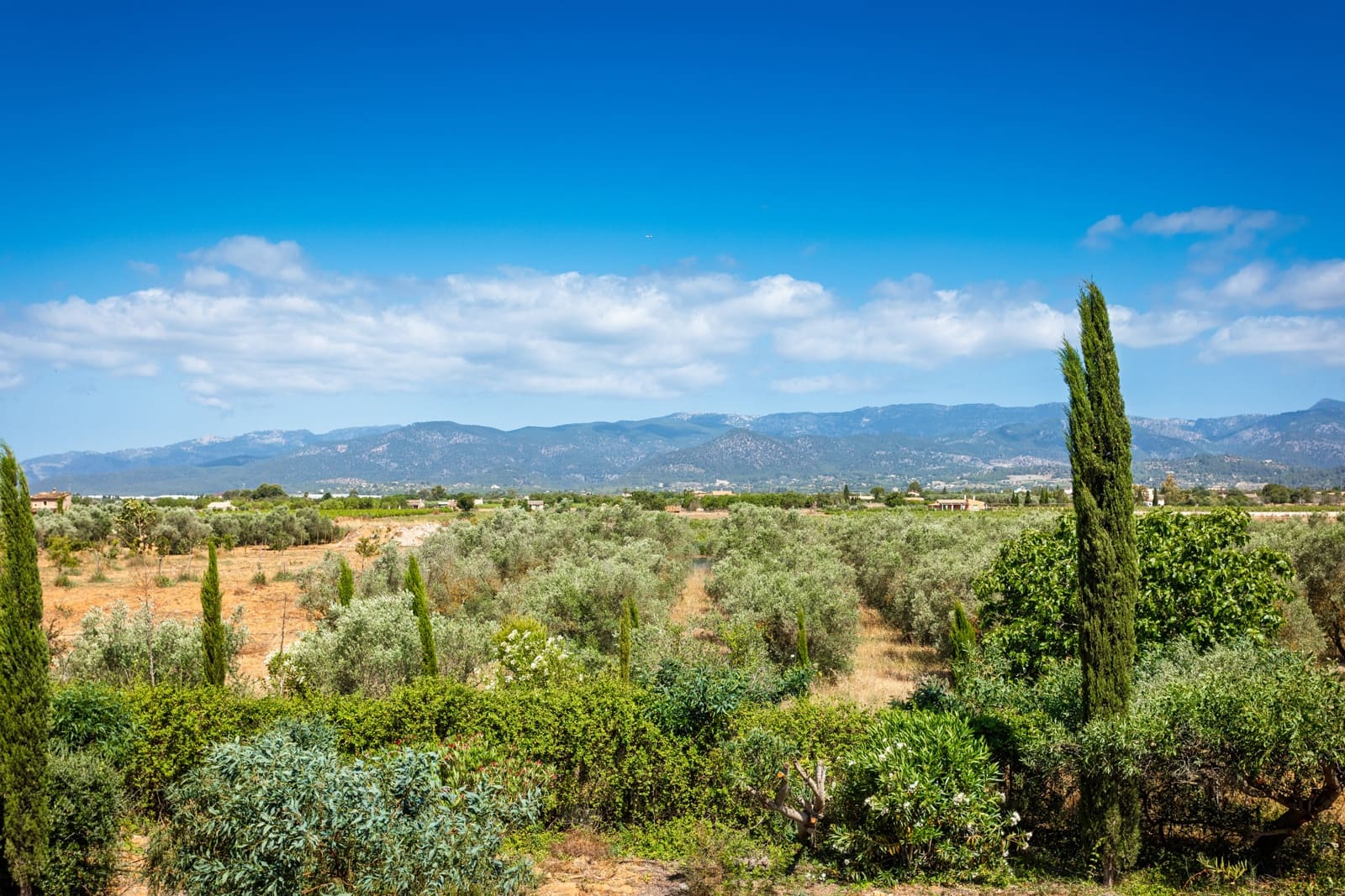 4 bedroom Villa for sale in Santa Maria del Cami with pool garage - € 5,500,000 (Ref: 9883598)