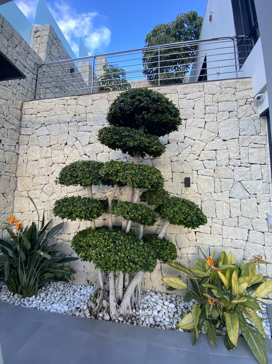 5 makuuhuone Huvila myytävänä paikassa Benissa mukana uima-altaan 
autotalli - 2 480 000 € (Ref: 7800616)