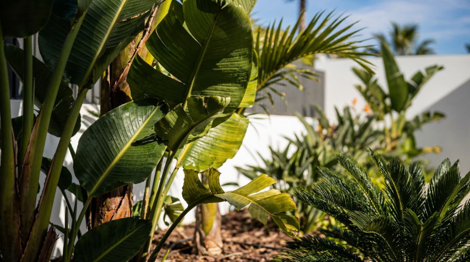 3 bedroom Villa for sale in Calpe / Calp - € 1,345,000 (Ref: 8865379)