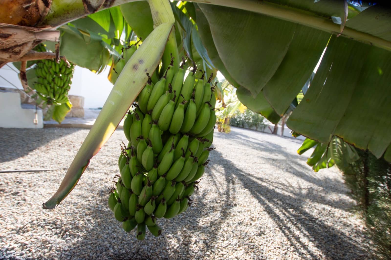 3 soveværelse Villa til salg i Benissa med swimmingpool garage - € 725.000 (Ref: 9521929)