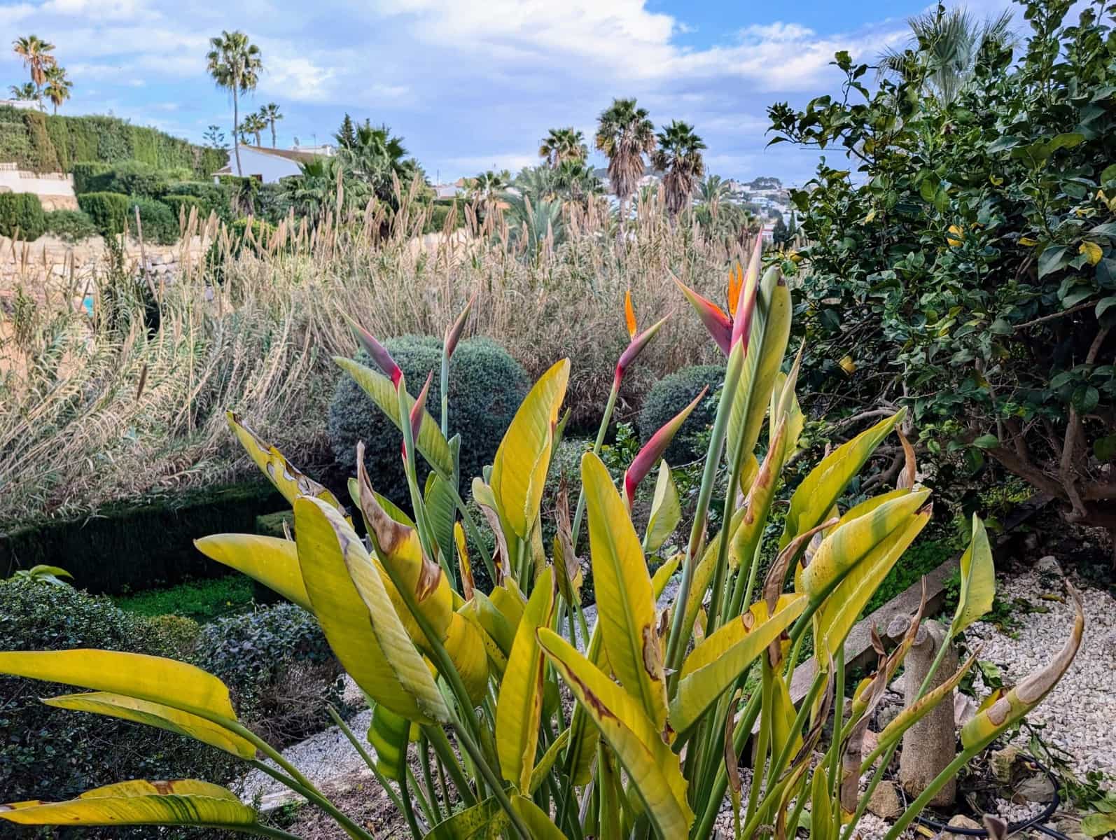 4 sovrum Villa till salu i Benissa med pool garage - 599 500 € (Ref: 9552402)