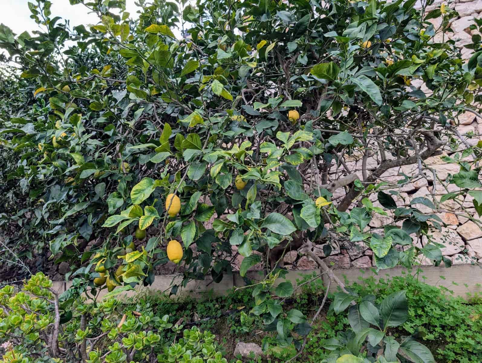 4 sovrum Villa till salu i Benissa med pool garage - 599 500 € (Ref: 9552402)