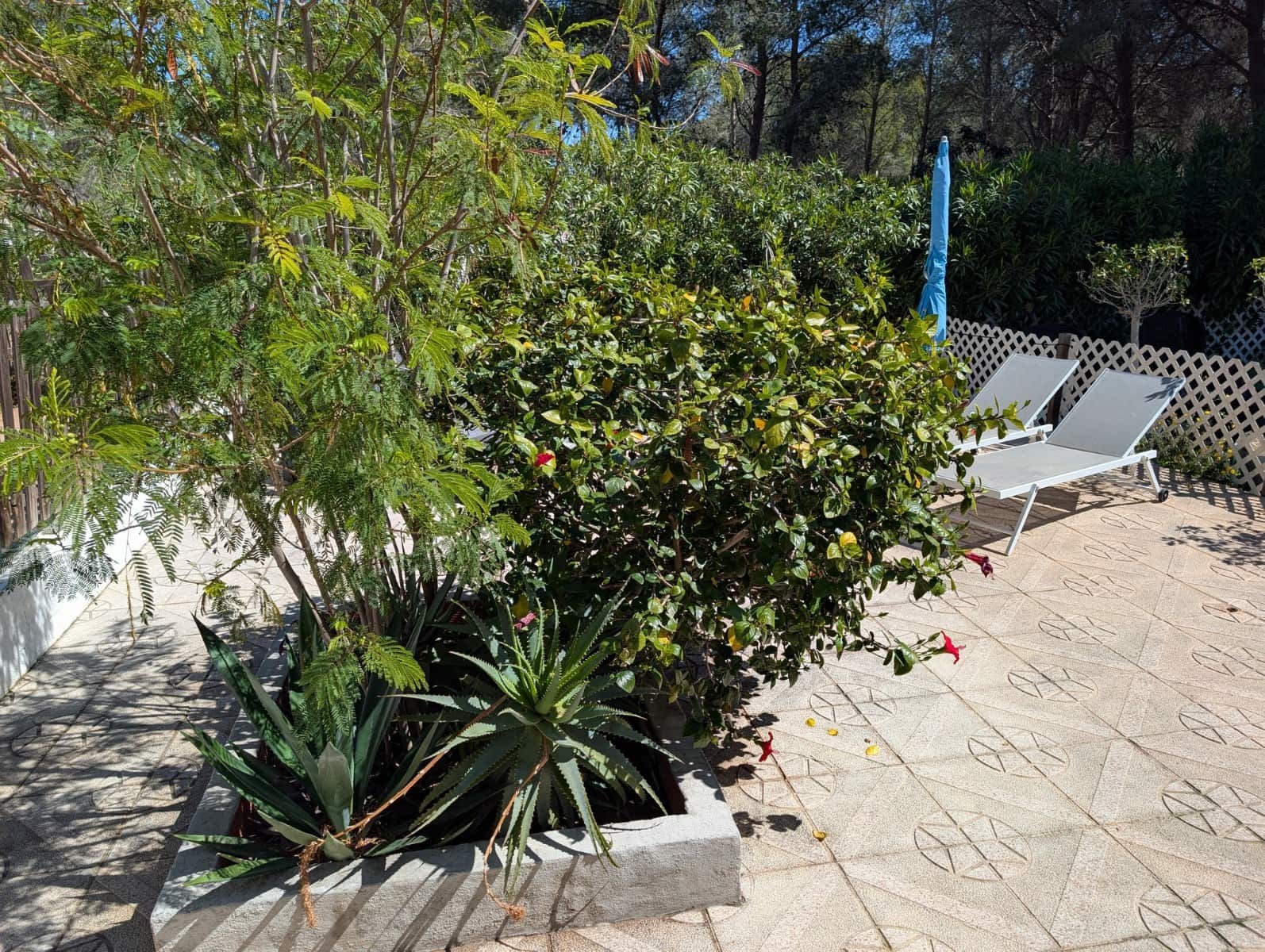 2 quarto Casa em Banda para venda em Moraira com piscina - 289 000 € (Ref: 9785168)