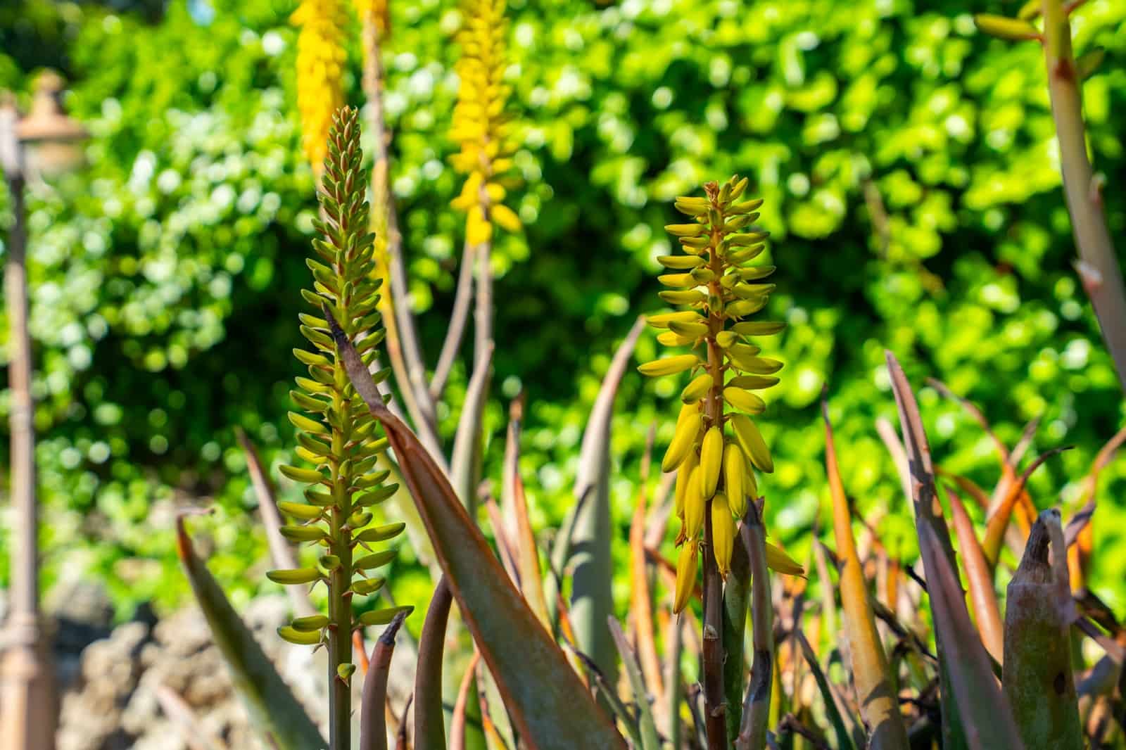 4 bedroom Villa for sale in Javea / Xabia with pool - € 895,000 (Ref: 9785169)