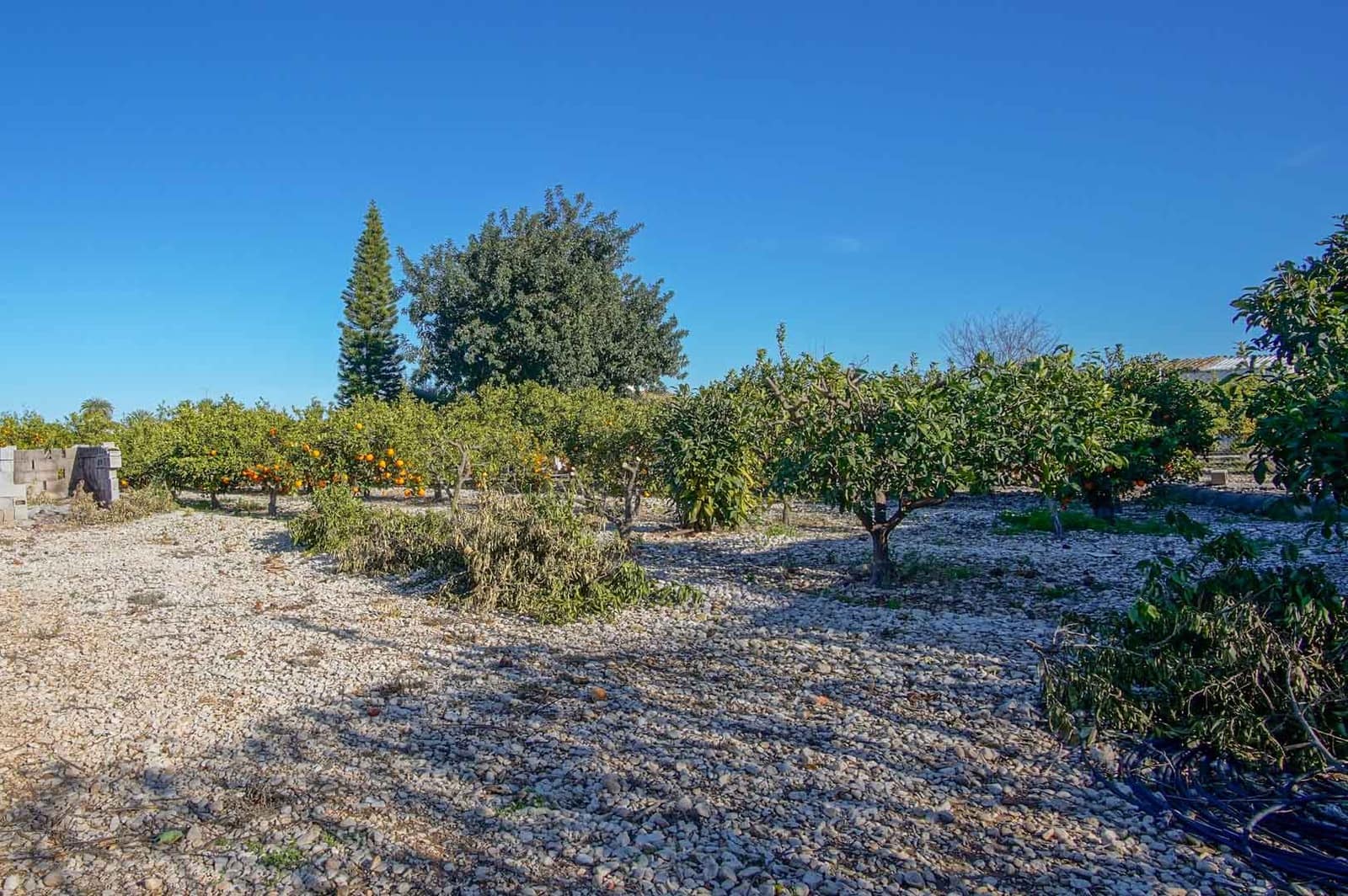 3 sovrum Villa till salu i El Vergel / Verger - 399 950 € (Ref: 9985351)