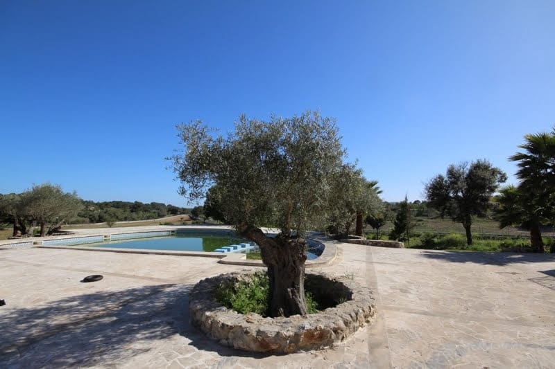 9 soverom Villa til salgs i Arta - € 3 000 000 (Ref: 8546442)