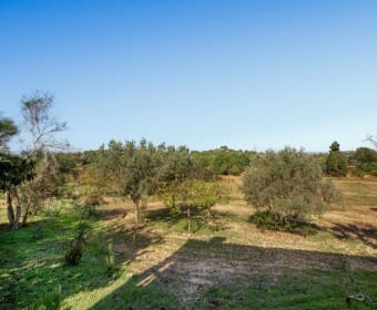 6 soverom Finca/Herregård til salgs i Son Macia - € 790 000 (Ref: 8845150)