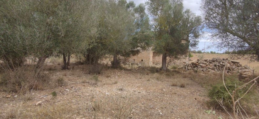 Finca/Casa Rural en Felanitx en venta - 590.000 € (Ref: 9345221)