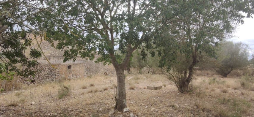 Finca/Casa Rural en Felanitx en venta - 590.000 € (Ref: 9345221)