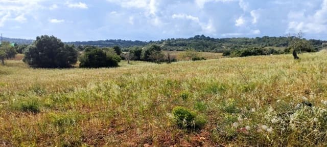 Byggetomt til salgs i Manacor - € 189 000 (Ref: 9991829)