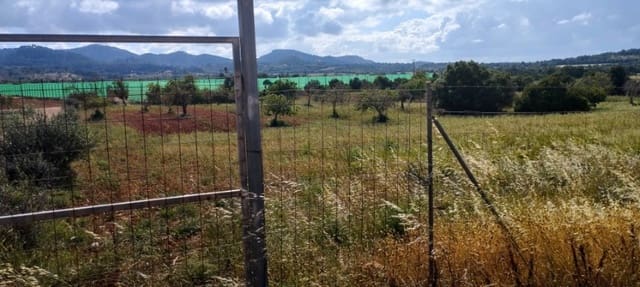 Byggetomt til salgs i Manacor - € 189 000 (Ref: 9991829)