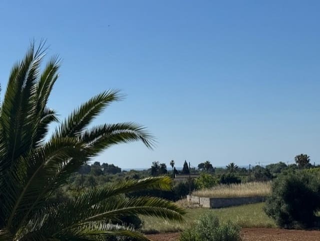 2 sypialnia Finka/Dom wiejski na sprzedaż w Son Servera z basenem - 595 000 € (Ref: 9029994)