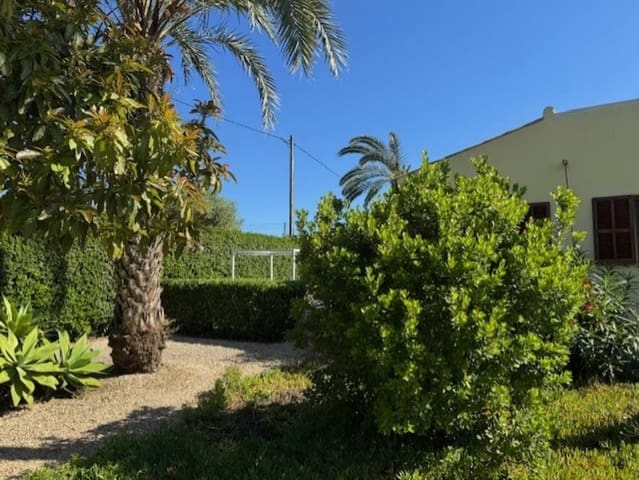 2 sypialnia Finka/Dom wiejski na sprzedaż w Son Servera z basenem - 595 000 € (Ref: 9029994)