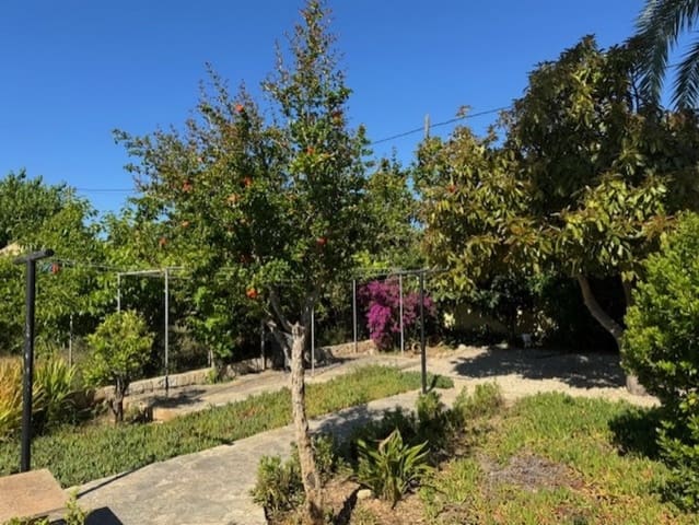 2 sypialnia Finka/Dom wiejski na sprzedaż w Son Servera z basenem - 595 000 € (Ref: 9029994)