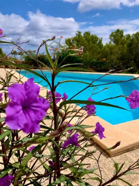 Lejlighed til salg i Capdepera med swimmingpool garage - € 385.000 (Ref: 9228936)