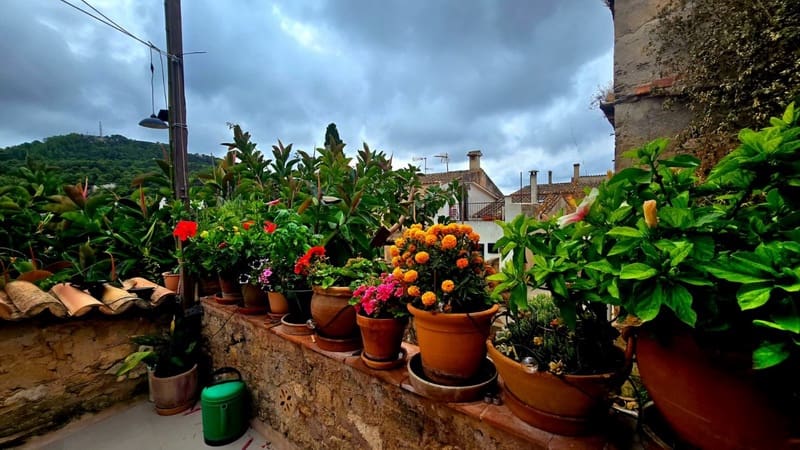 3 soveværelse Byhus til salg i Capdepera - € 695.000 (Ref: 9322818)