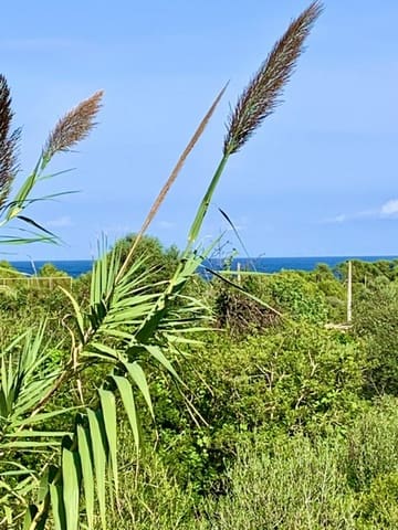 3 chambre Villa/Maison Mitoyenne à vendre à Capdepera avec piscine - 450 000 € (Ref: 9326944)