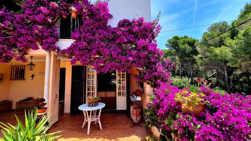 4 sypialnia Dom szeregowy na sprzedaż w Cala Ratjada z basenem garażem - 505 000 € (Ref: 9797669)