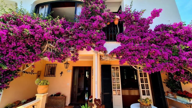 4 sypialnia Dom szeregowy na sprzedaż w Cala Ratjada z basenem garażem - 505 000 € (Ref: 9797669)