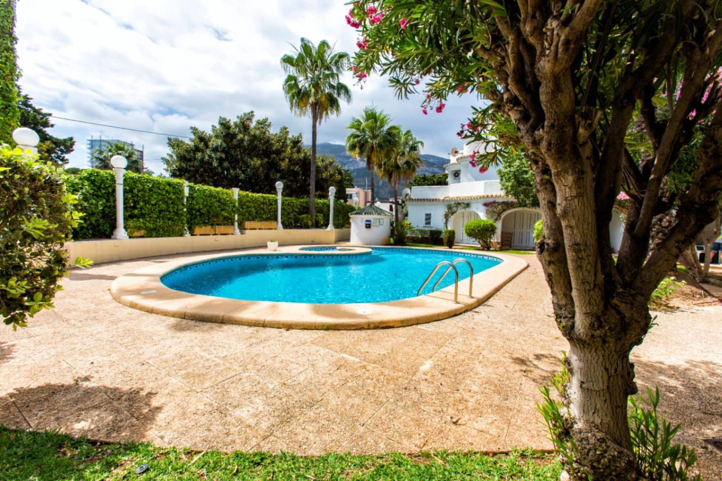 2 bedroom Apartment for rent in Denia with pool - € 800 (Ref: 8895361)
