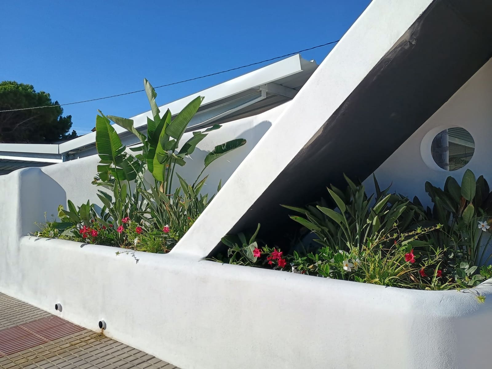 2 bedroom Apartment for rent in Denia - € 1,200 (Ref: 9335636)