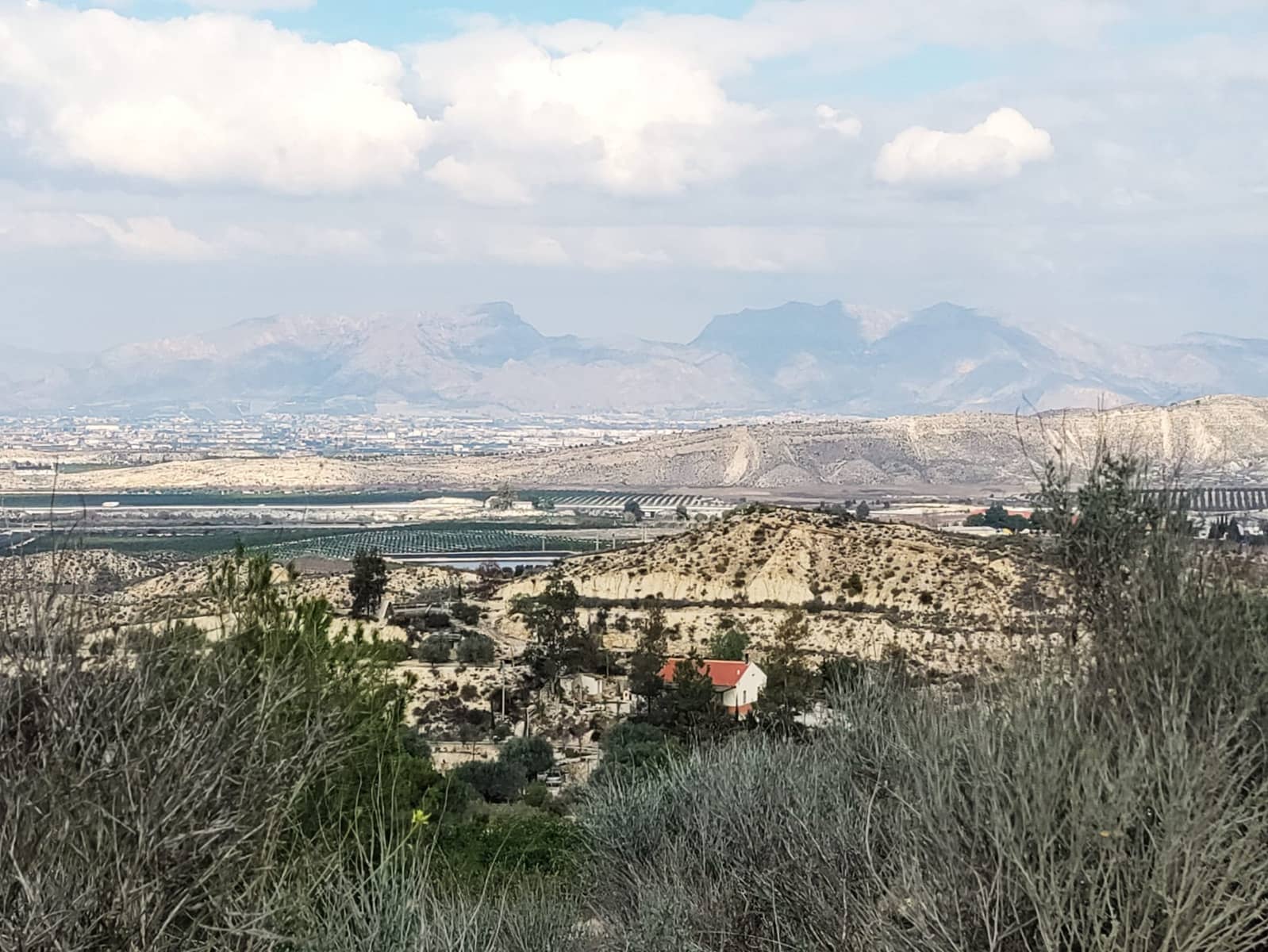 Virksomhed til salg i Los Alcazares - € 700.000 (Ref: 9324367)