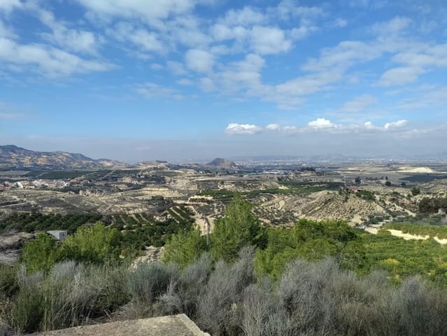 Business for sale in Los Narejos - Punta Calera, Los Alcázares - € 700,000 (Ref: 9324367)