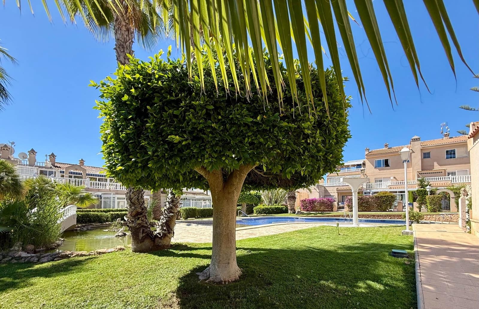 2 camera da letto Appartamento in vendita in Playa Flamenca con piscina - 319.900 € (Rif: 10026793)