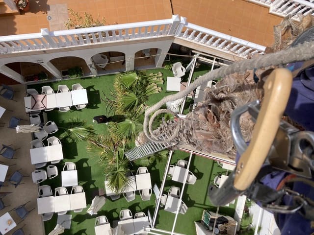 Kaupallinen myytävänä paikassa Playa Flamenca, Orihuela mukana uima-altaan - 159 950 € (Ref: 7573699)