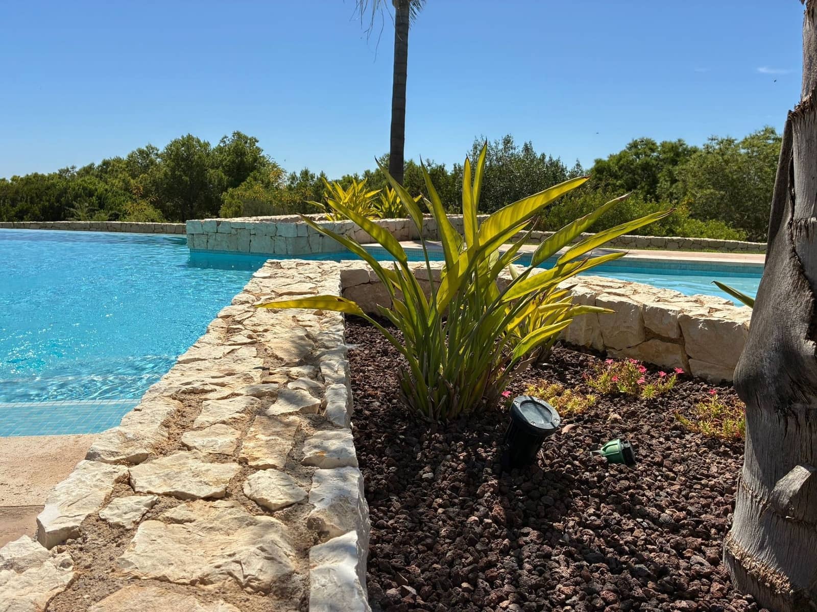 3 chambre Villa/Maison à vendre à Pilar de la Horadada avec piscine garage - 319 900 € (Ref: 9212555)