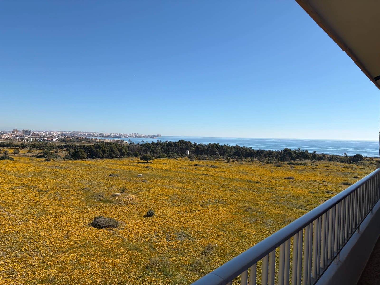 2 slaapkamer Appartement te koop in Orihuela Costa met zwembad garage - € 235.000 (Ref: 9809859)