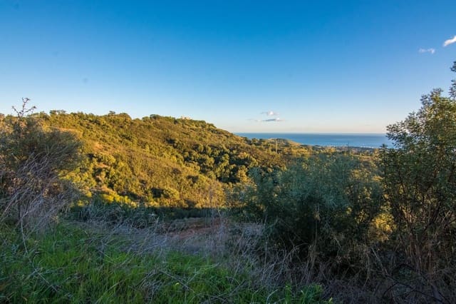 Landgrundstück zu verkaufen in Marbella - 9.000.000 € (Ref: 7196048)
