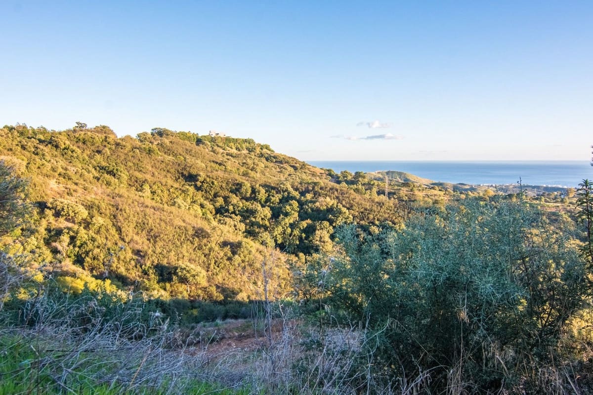 Landgrundstück zu verkaufen in Marbella - 9.000.000 € (Ref: 7196048)