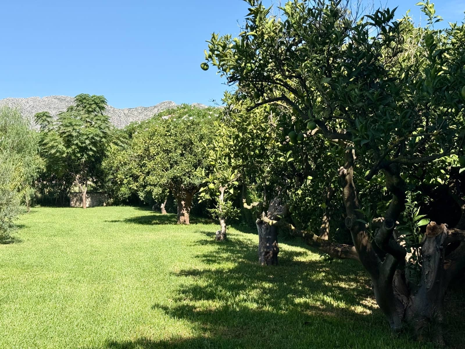 5 sypialnia Willa na sprzedaż w Denia z basenem - 1 400 000 € (Ref: 9984104)