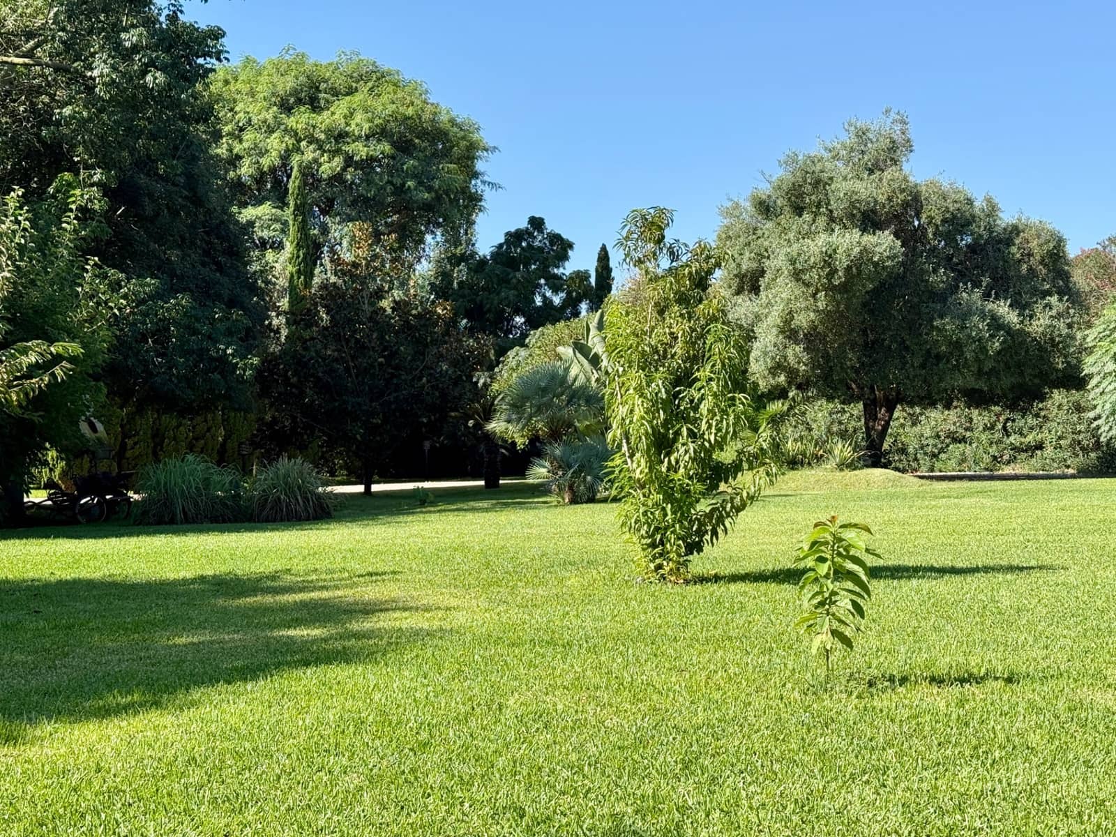 5 sypialnia Willa na sprzedaż w Denia z basenem - 1 400 000 € (Ref: 9984104)