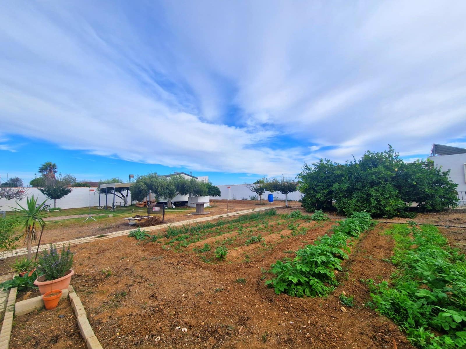 2 slaapkamer Finca/Landhuis te koop in Chiclana de la Frontera - € 115.000 (Ref: 9622672)