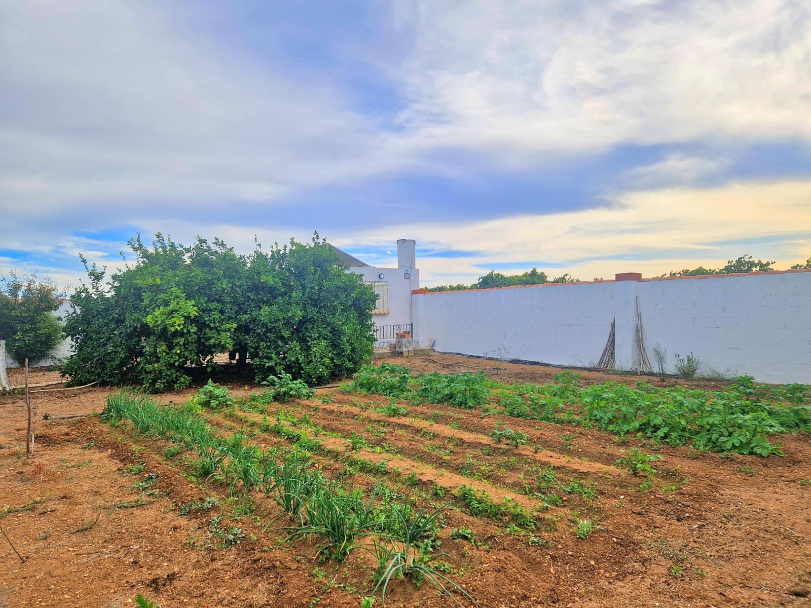2 slaapkamer Finca/Landhuis te koop in Chiclana de la Frontera - € 115.000 (Ref: 9622672)