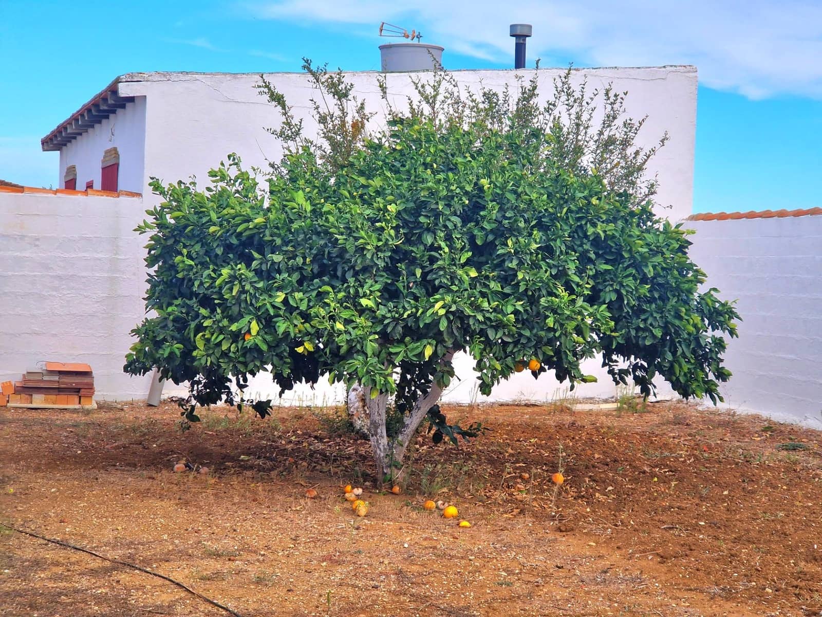 2 slaapkamer Finca/Landhuis te koop in Chiclana de la Frontera - € 115.000 (Ref: 9622672)