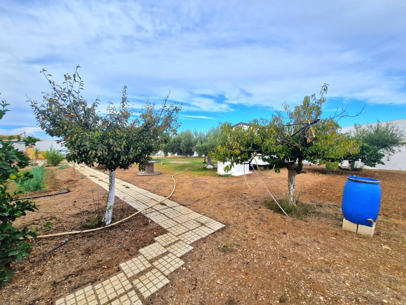 2 slaapkamer Finca/Landhuis te koop in Chiclana de la Frontera - € 115.000 (Ref: 9622672)