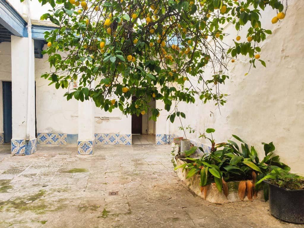 10 sypialnia Dom na sprzedaż w Chiclana de la Frontera z garażem - 278 000 € (Ref: 9622673)