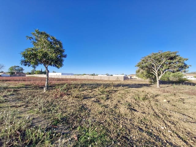 1 sovrum Finca/Hus på landet till salu i Pago del Humo, Chiclana de la Frontera - 310 000 € (Ref: 9622675)