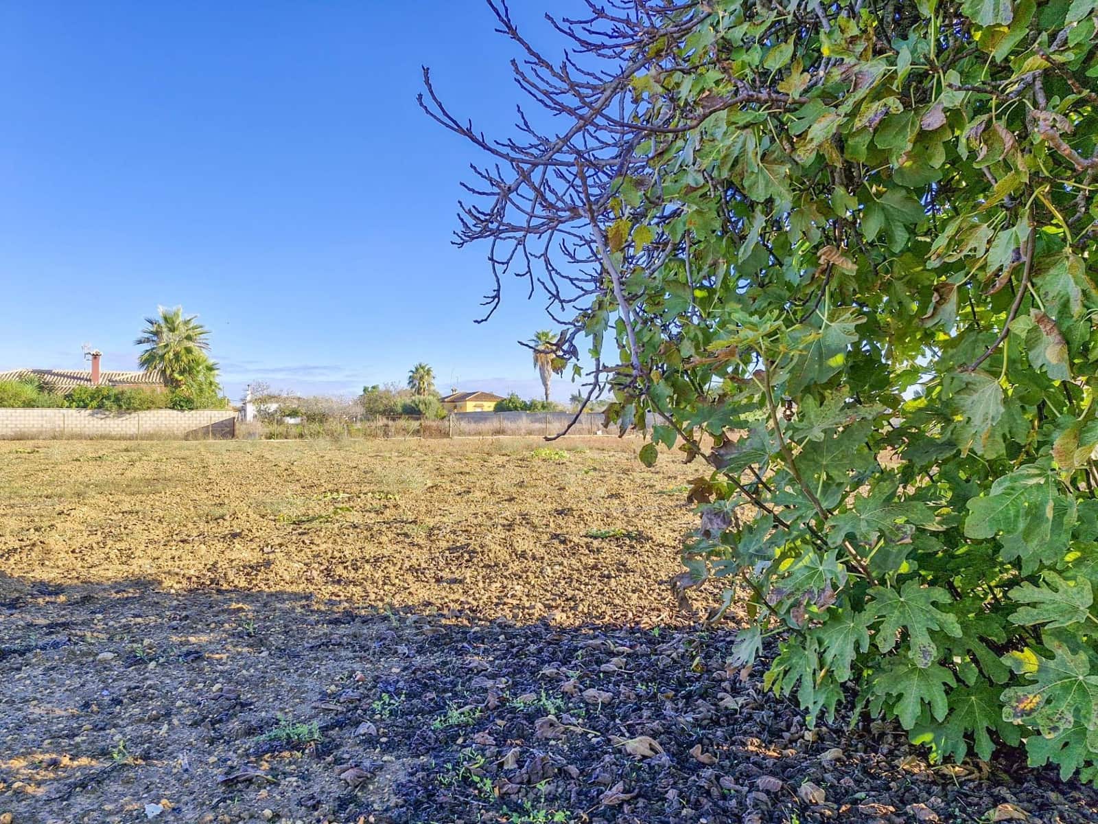 1 makuuhuone Maalaistalo myytävänä paikassa Pago del Humo - 310 000 € (Ref: 9622675)