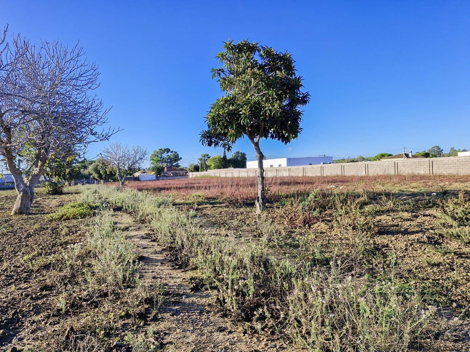 1 makuuhuone Maalaistalo myytävänä paikassa Pago del Humo - 310 000 € (Ref: 9622675)