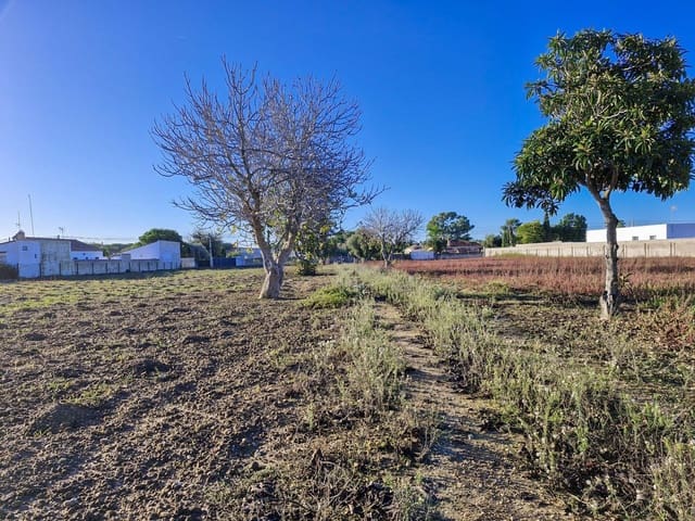1 sovrum Finca/Hus på landet till salu i Pago del Humo, Chiclana de la Frontera - 310 000 € (Ref: 9622675)