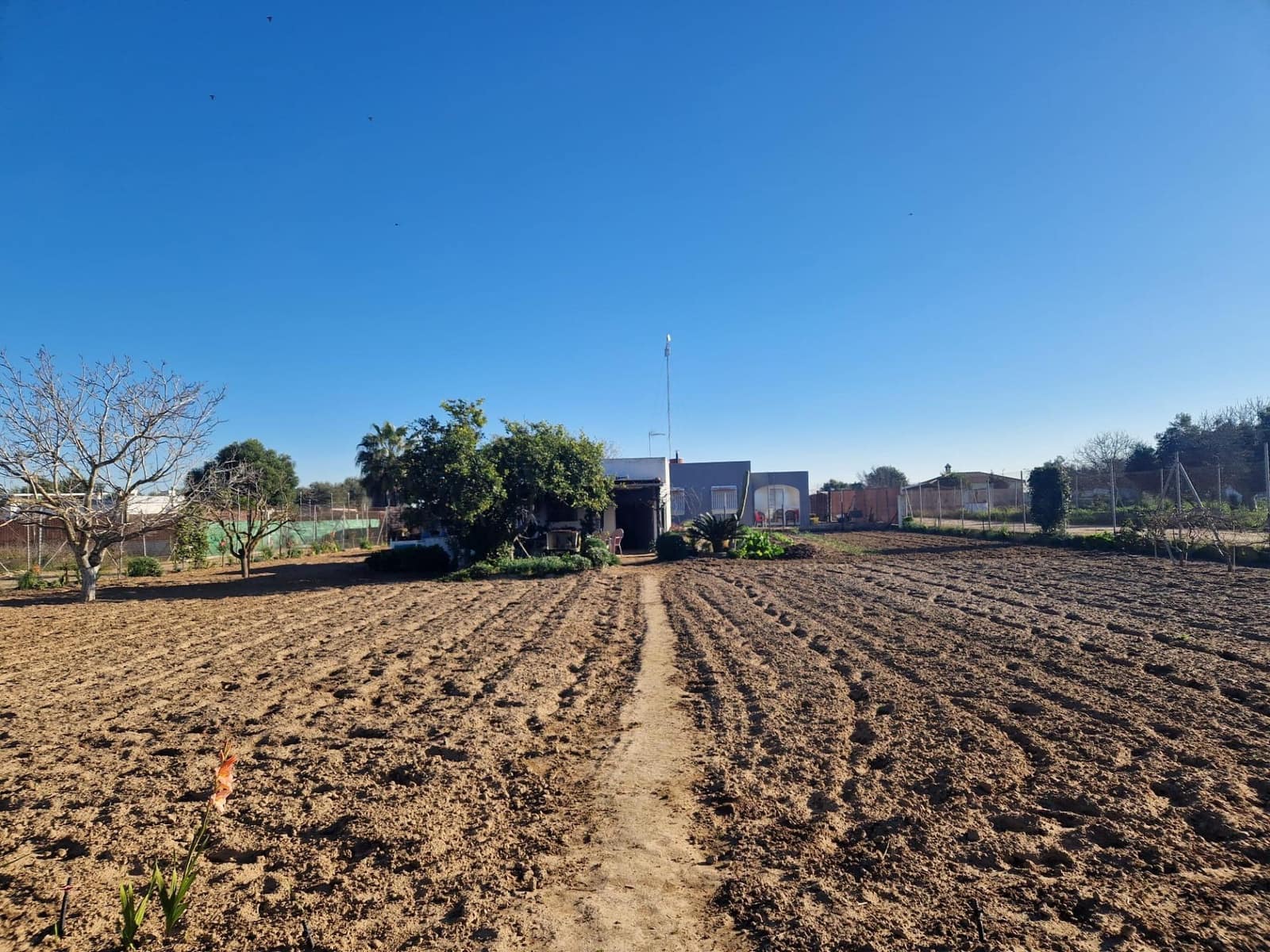 Mark till salu i El Puerto de Santa Maria - 85 000 € (Ref: 9622677)