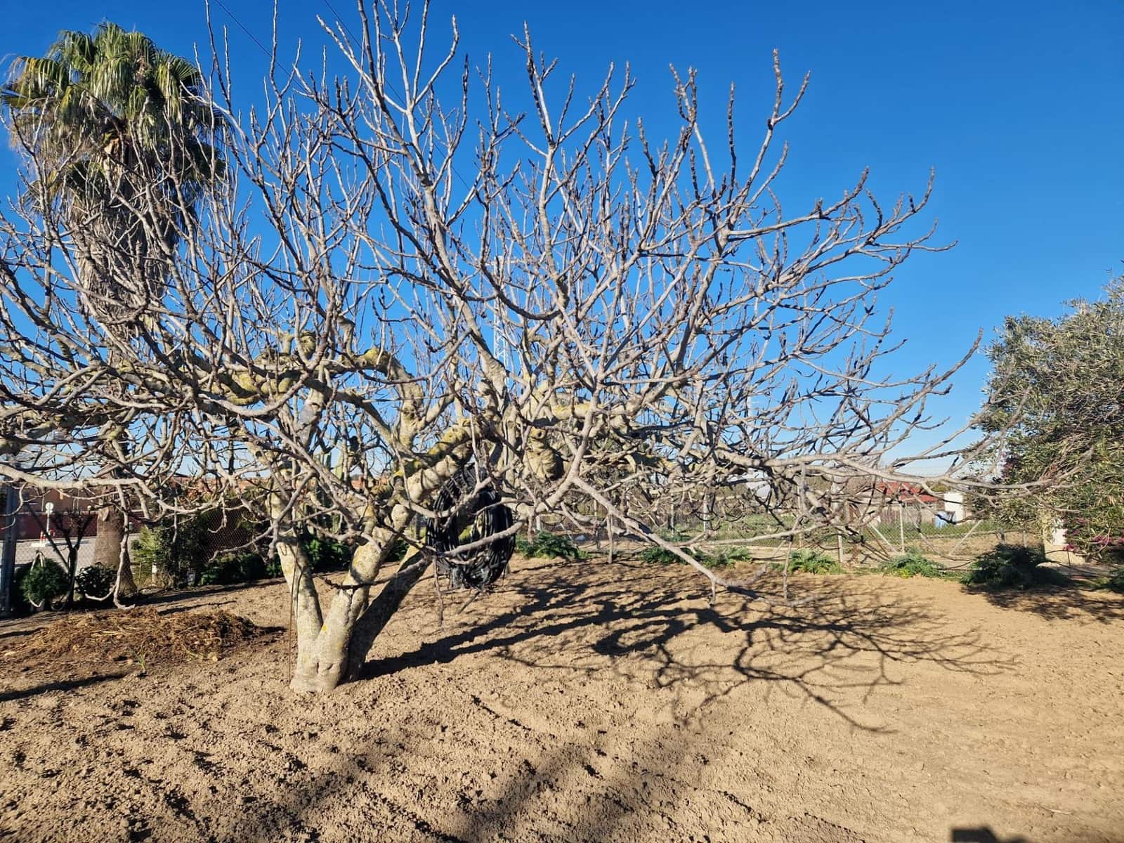 Mark till salu i El Puerto de Santa Maria - 85 000 € (Ref: 9622677)