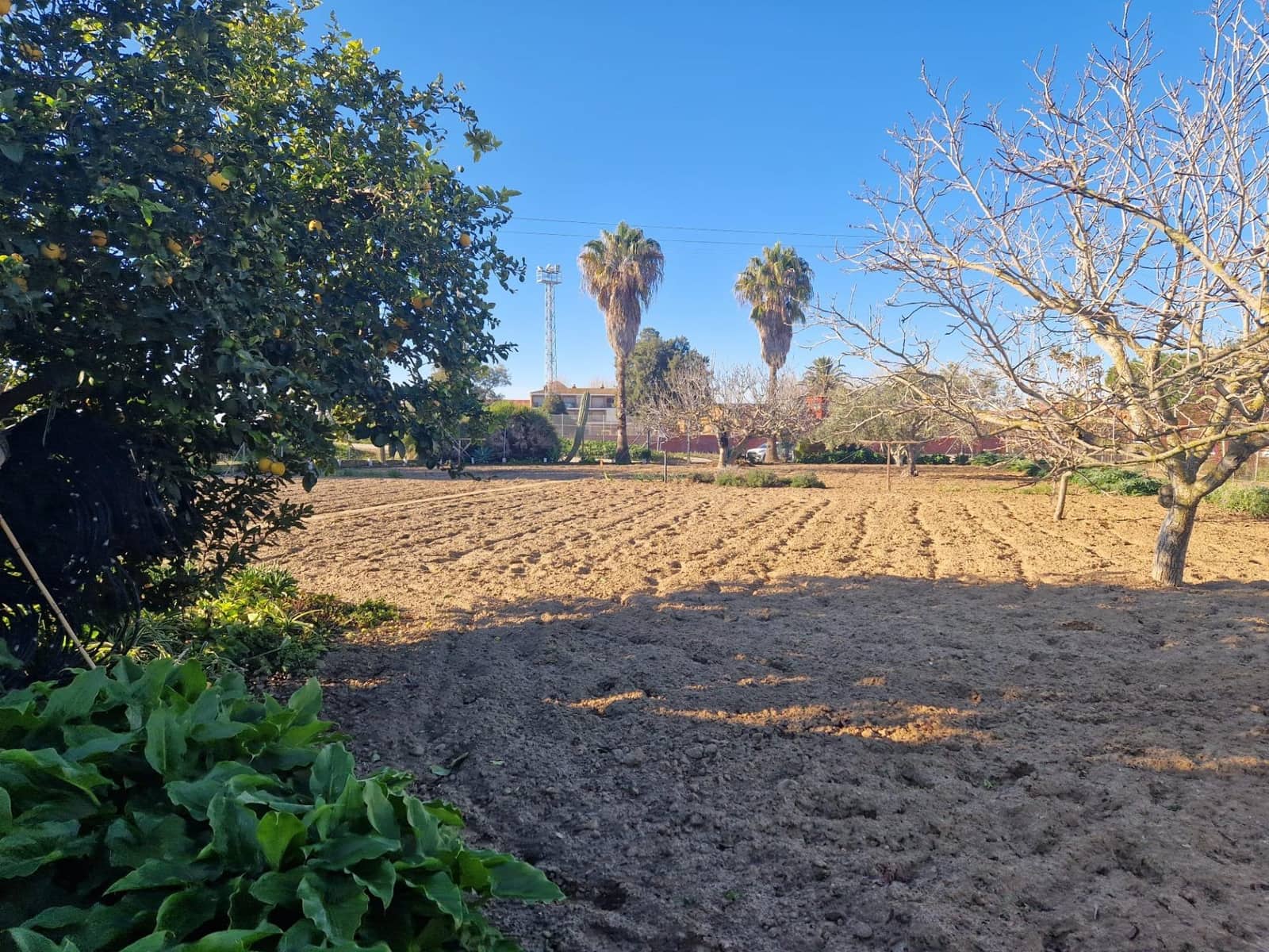 Mark till salu i El Puerto de Santa Maria - 85 000 € (Ref: 9622677)