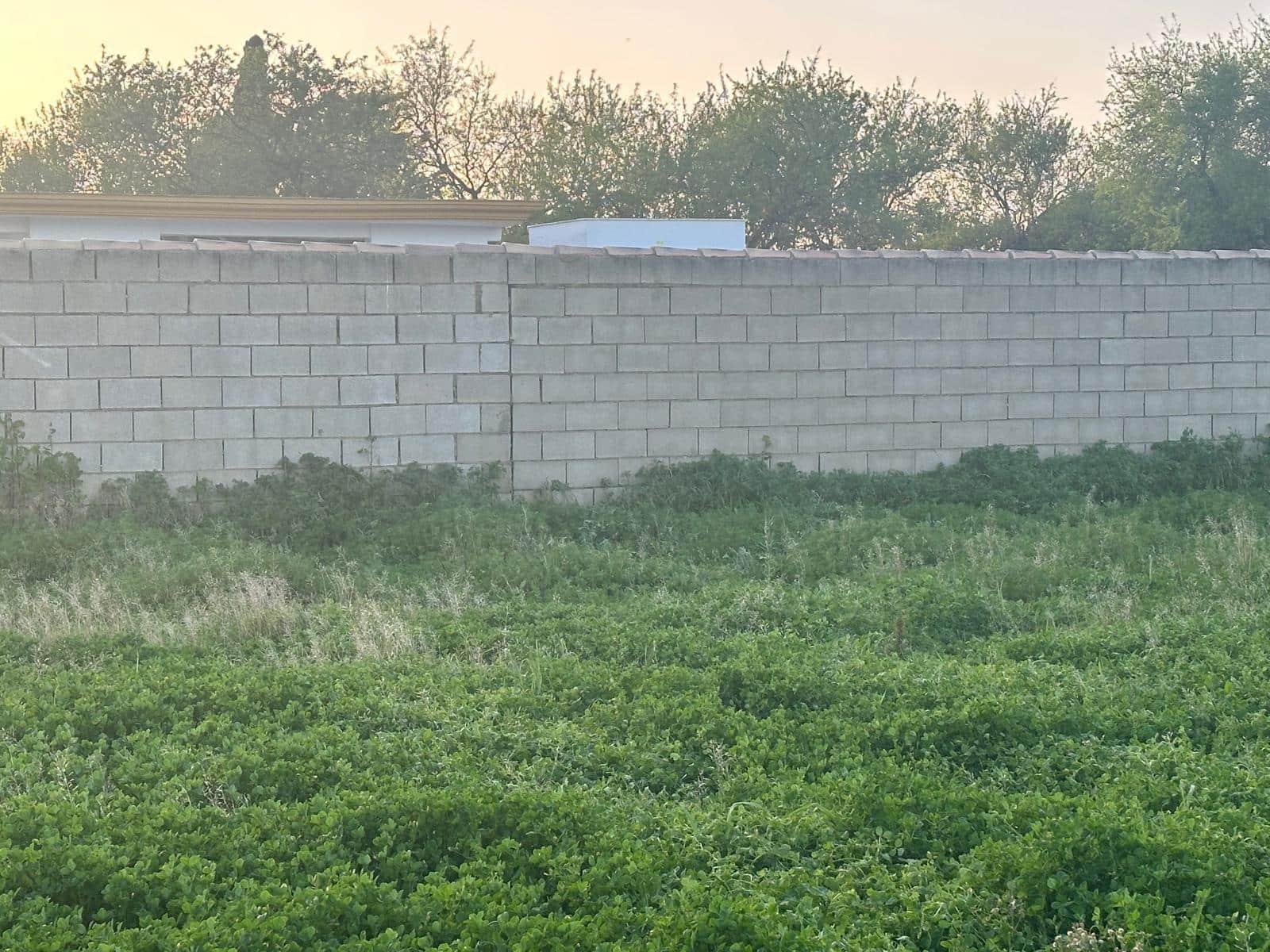 Bauplatz zu verkaufen in Pago del Humo - 27.000 € (Ref: 9666456)