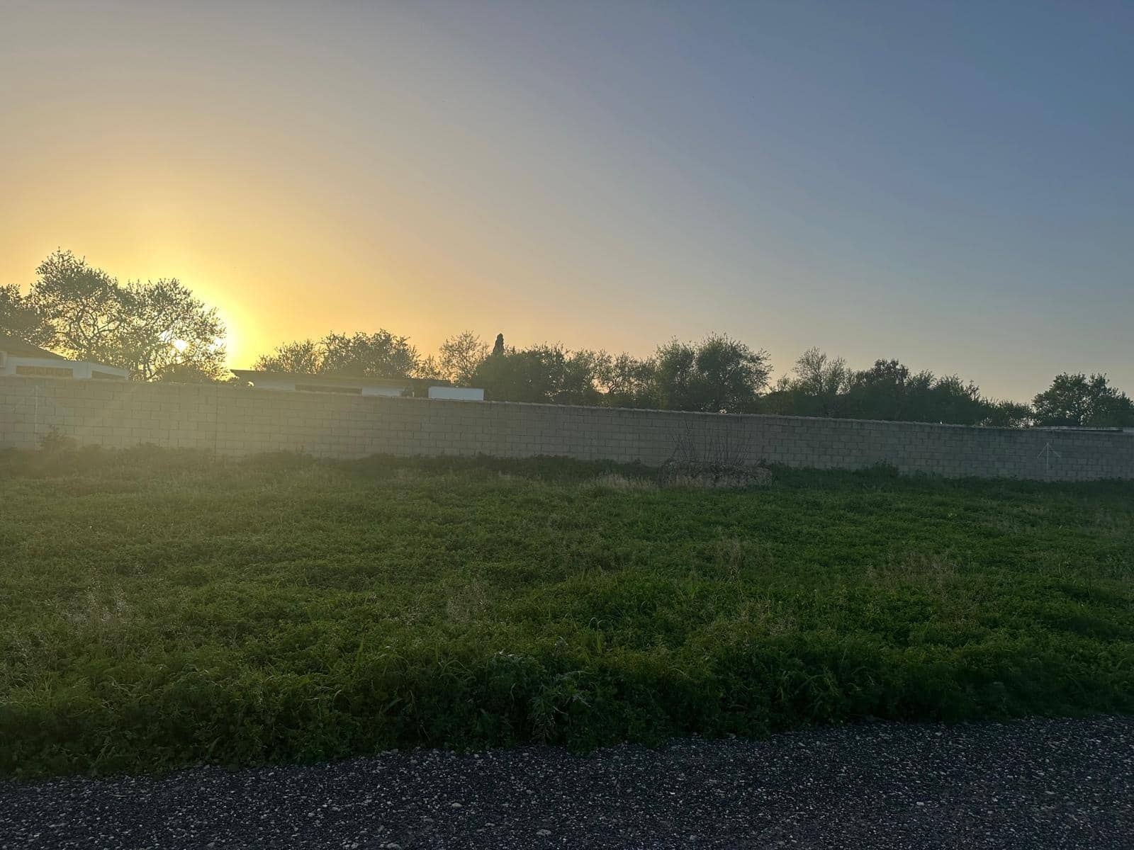 Bauplatz zu verkaufen in Pago del Humo - 27.000 € (Ref: 9666456)