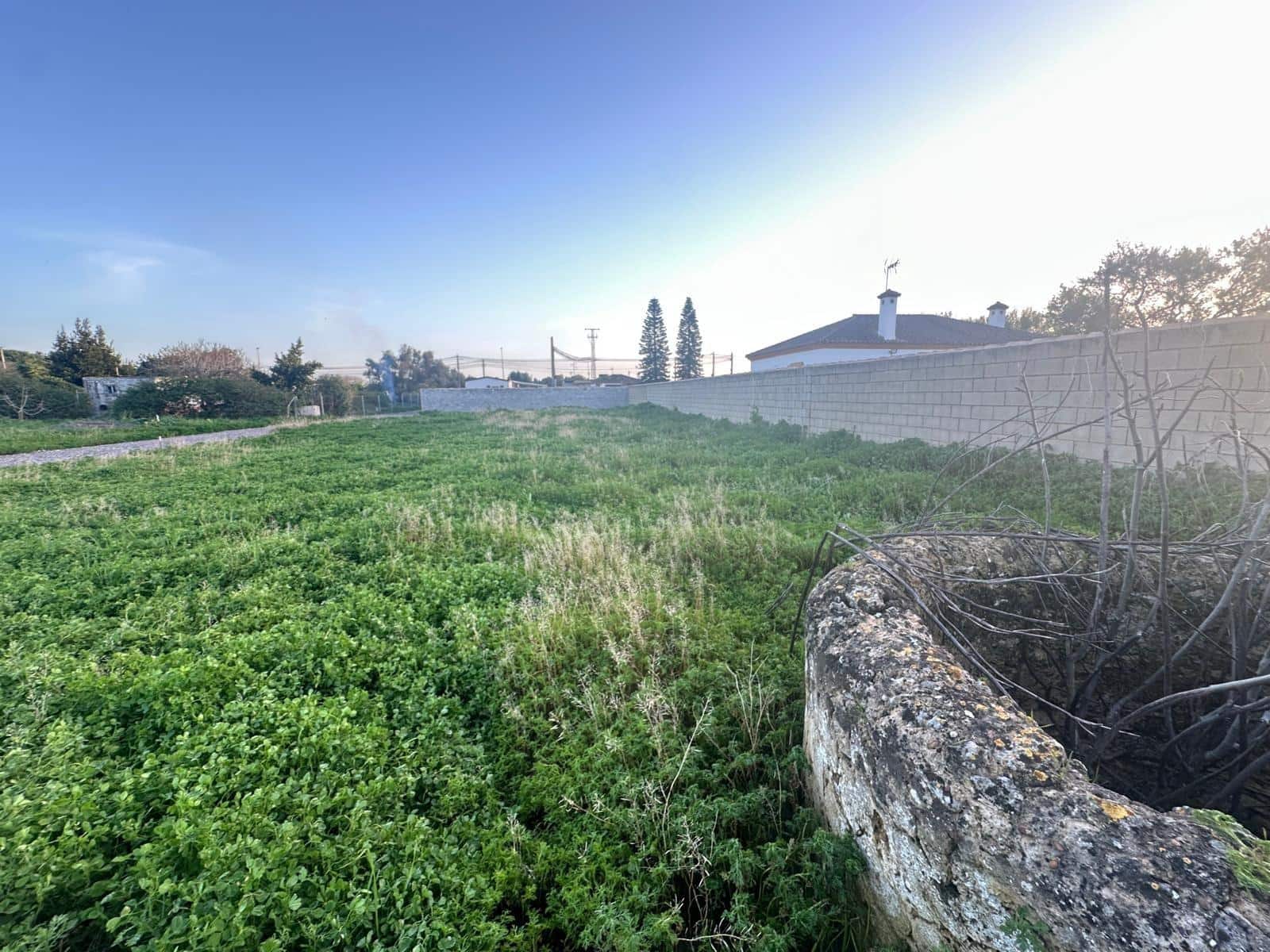 Bauplatz zu verkaufen in Pago del Humo - 27.000 € (Ref: 9666456)